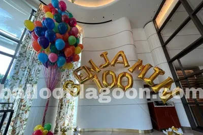 Balloon Lagoon, business photo 1