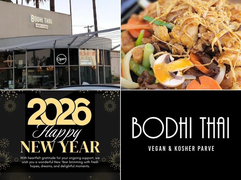Bodhi Kosher Thai business photo