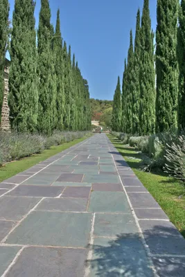 Greystone Mansion & Gardens, business photo 1